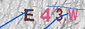 キャプチャ画像