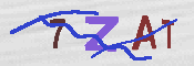 キャプチャ画像
