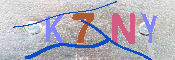 キャプチャ画像