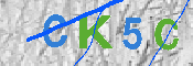 キャプチャ画像