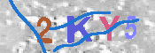 キャプチャ画像