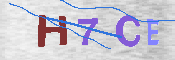 キャプチャ画像