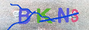 キャプチャ画像