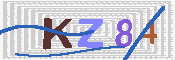 キャプチャ画像