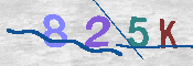 キャプチャ画像