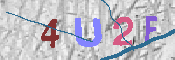 キャプチャ画像