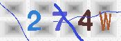 キャプチャ画像