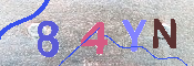 キャプチャ画像