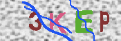 キャプチャ画像