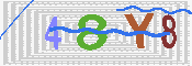 キャプチャ画像