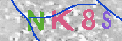 キャプチャ画像