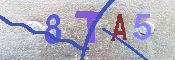 キャプチャ画像