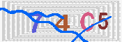 キャプチャ画像