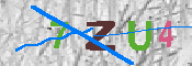 キャプチャ画像