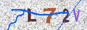 キャプチャ画像