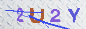 キャプチャ画像