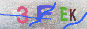 キャプチャ画像