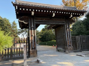 蛤御門【佐藤直子のテニスがすべて】