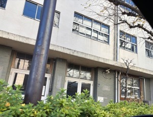 永田町小学校【佐藤直子のテニスがすべて】