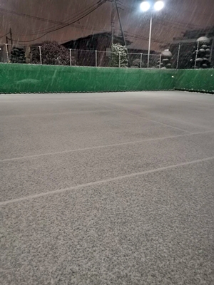 テニスコートに雪が..【ちょい不良オヤジ・西尾茂之の辛口ｂｌｏｇ】