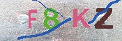 キャプチャ画像
