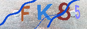 キャプチャ画像
