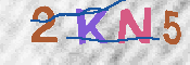 キャプチャ画像