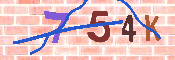 キャプチャ画像