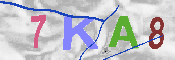 キャプチャ画像