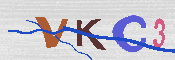 キャプチャ画像