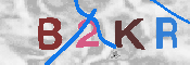 キャプチャ画像