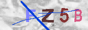 キャプチャ画像
