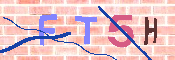 キャプチャ画像