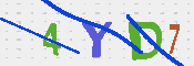 キャプチャ画像