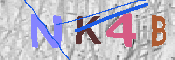 キャプチャ画像