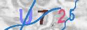 キャプチャ画像