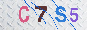 キャプチャ画像