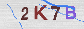 キャプチャ画像