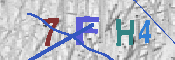キャプチャ画像