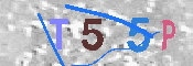キャプチャ画像