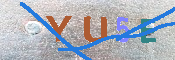 キャプチャ画像