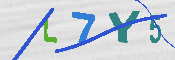 キャプチャ画像