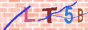 キャプチャ画像