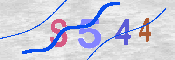 キャプチャ画像