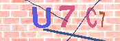 キャプチャ画像