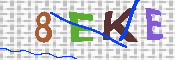 キャプチャ画像