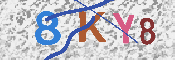 キャプチャ画像