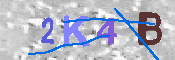 キャプチャ画像