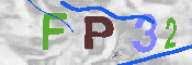 キャプチャ画像