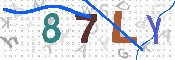 キャプチャ画像